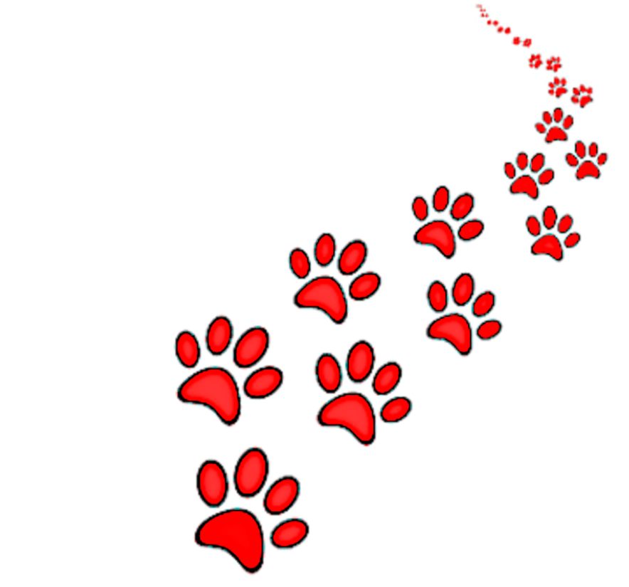 Lost Paws Rescue of Texas - 7000+ DFW Dogs and Cats Adopted